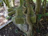 image of grave number 689102
